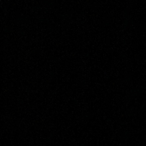 Meet your Posher, Gabriel - Picture 1 of 1